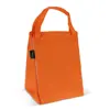 Borsa frigo ripiegata e tappetino da picnic