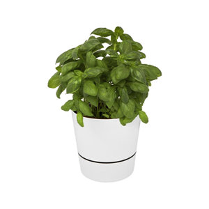 Vaso da cucina per erbe aromatiche con controllo irrigazione con scomparto per l'acqua da 1L