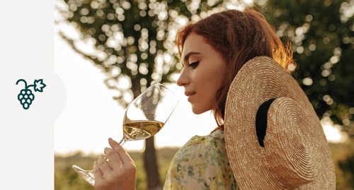 Enoteche e Cantine