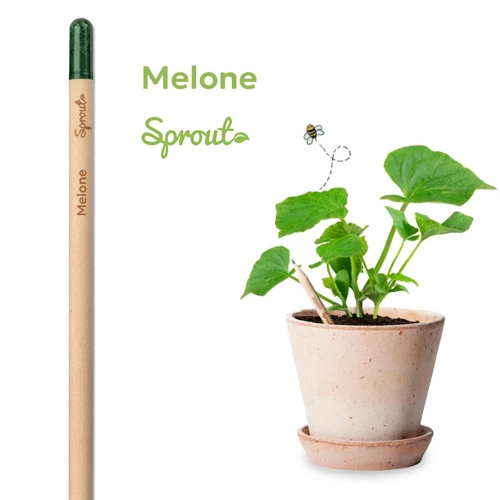 Matita Sprout in Legno Sostenibile Piantabile con Semi con Stampa Inclusa
