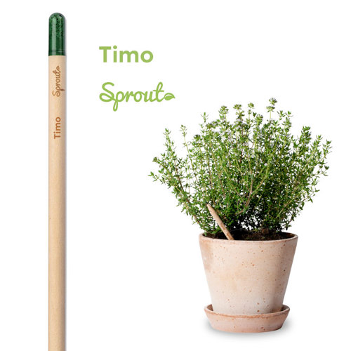 Matita Sprout in Legno Sostenibile Piantabile con Semi con Stampa Inclusa