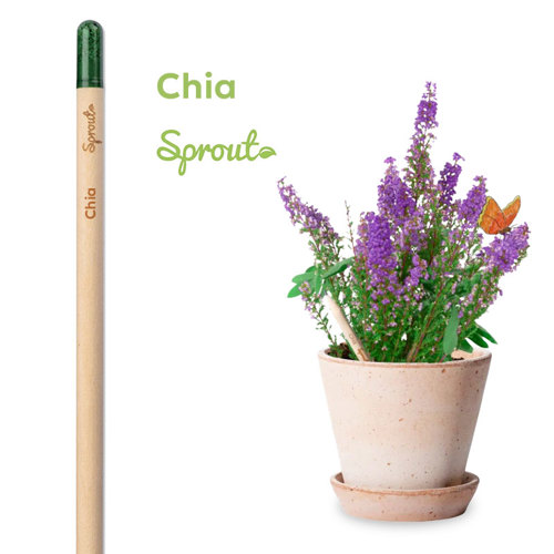 Matita Sprout in Legno Sostenibile Piantabile con Semi con Stampa Inclusa