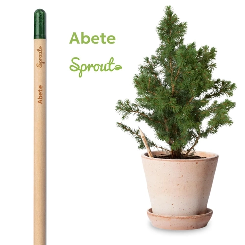 Matita Sprout in Legno Sostenibile Piantabile con Semi con Stampa Inclusa