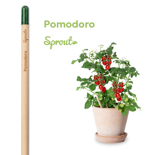 Matita Sprout in Legno Sostenibile Piantabile con Semi con Stampa Inclusa