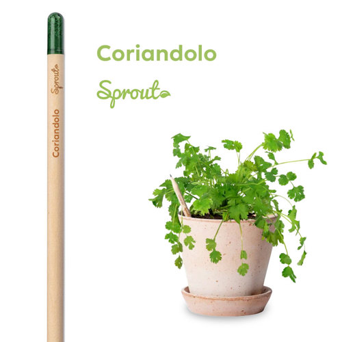 Matita Sprout in Legno Sostenibile Piantabile con Semi con Stampa Inclusa