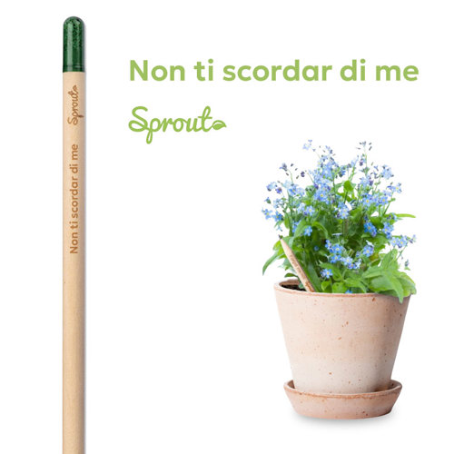 Matita Sprout in Legno Sostenibile Piantabile con Semi con Stampa Inclusa