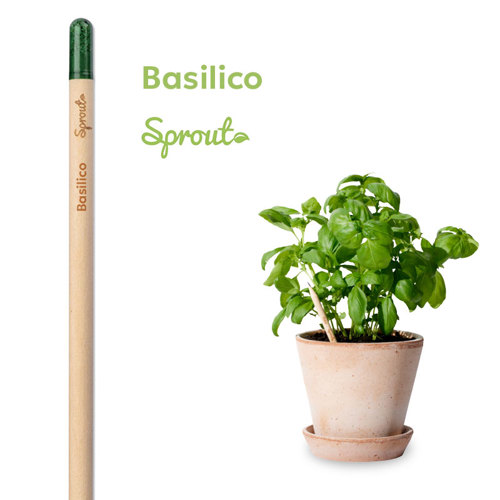 Matita Sprout in Legno Sostenibile Piantabile con Semi con Stampa Inclusa