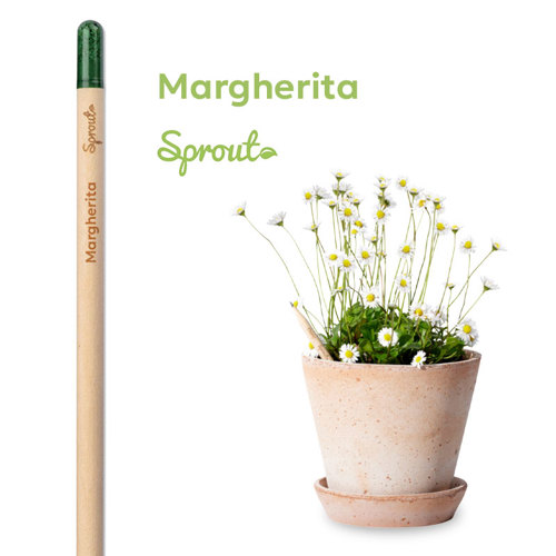 Matita Sprout in Legno Sostenibile Piantabile con Semi con Stampa Inclusa