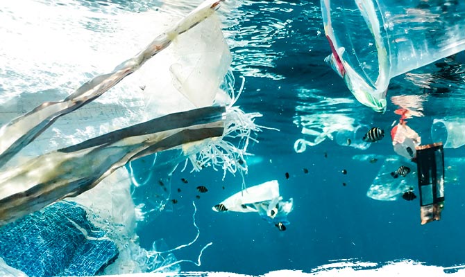 Perché è Importante questa Iniziativa