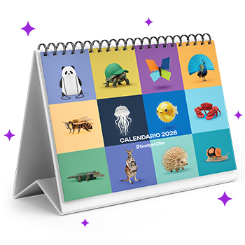 Immagine Calendario