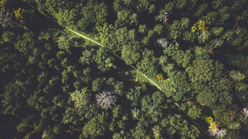L'ecologia guadagna sempre più terreno nella pubblicità