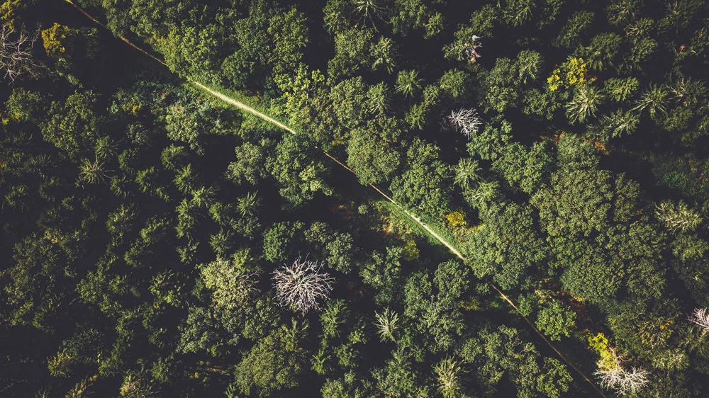 L'ecologia guadagna sempre più terreno nella pubblicità