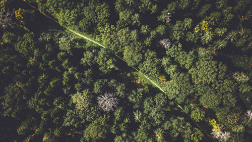 L'ecologia guadagna sempre più terreno nella pubblicità