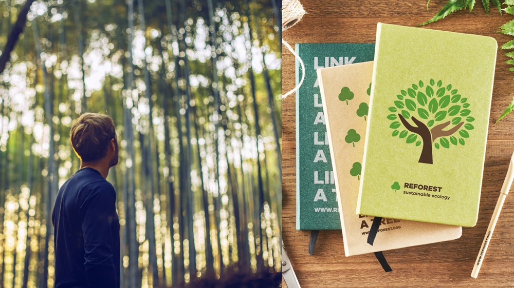 Marketing sostenibile e compensazione della CO2: Come i gadget sostenibili possono trasformare il tuo business